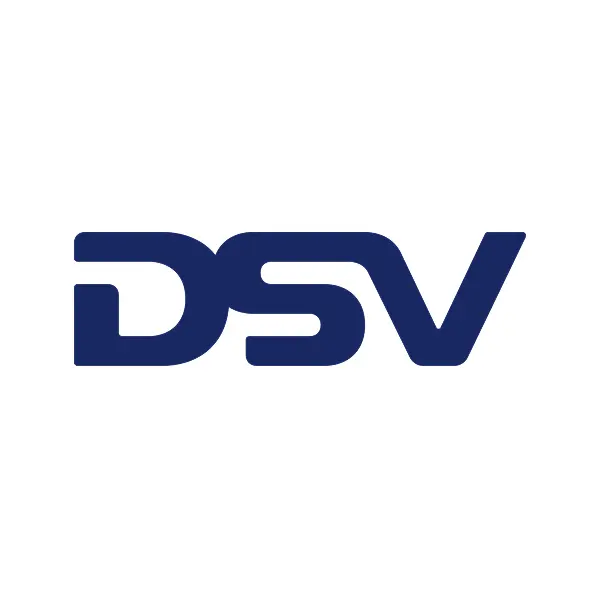 dsv.com